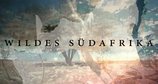 Wildes Südafrika – Bild: NDR/Doclights