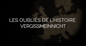 Vergissmeinnicht – Bild: arte Vergissmeinnicht – Bild: arte