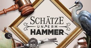 Schätze unterm Hammer – Ein Auktionator schlägt zu – Bild: kabel eins