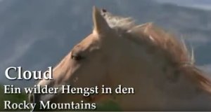Cloud – Bild: PBS/ARD Cloud – Bild: PBS/ARD