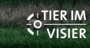 Tier im Visier – Bild: mdr/ARD Tier im Visier – Bild: mdr/ARD