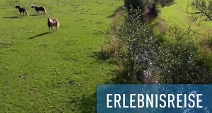 Erlebnisreise – Bild: hr-fernsehen