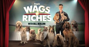 Dog Hollywood – Vom Streuner zum Star – Bild: Discovery Family Channel