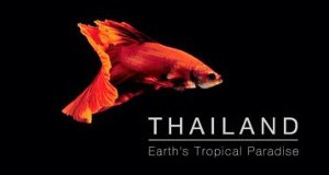 Wildes Thailand – Bild: BBC Wildes Thailand – Bild: BBC