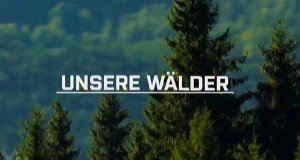 Unsere Wälder – Bild: ZDF