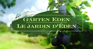 Garten Eden – Bild: arte/ZDF Garten Eden – Bild: arte/ZDF