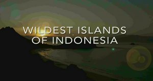 Wildes Indonesien – Bild: Animal Planet Wildes Indonesien – Bild: Animal Planet