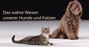 Das wahre Wesen unserer Hunde und Katzen – Bild: ZDF/Thomas Frischhut Das wahre Wesen unserer Hunde und Katzen – Bild: ZDF/Thomas Frischhut