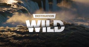 Destination Wild