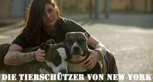 Die Tierschützer von New York – Bild: DCI