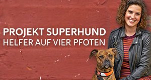 Projekt Superhund – Helfer auf vier Pfoten