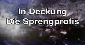 In Deckung – Die Sprengprofis – Bild: kabel eins Doku In Deckung – Die Sprengprofis – Bild: kabel eins Doku