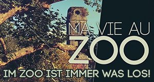 Im Zoo ist immer was los!