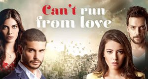 Can’t Run From Love – Bild: Star TV/Netflix Can’t Run From Love – Bild: Star TV/Netflix
