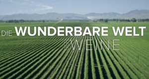 Die wunderbare Welt der Weine – Bild: arte/Grand Angle Productions