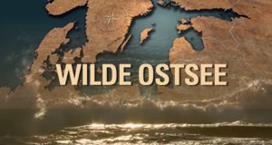 Wilde Ostsee – Bild: arte/Doclights