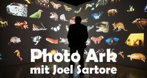 Photo Ark mit Joel Sartore