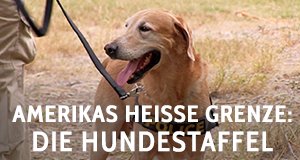 Amerikas heiße Grenze: Die Hundestaffel – Bild: NGC Europe Limited Amerikas heiße Grenze: Die Hundestaffel – Bild: NGC Europe Limited