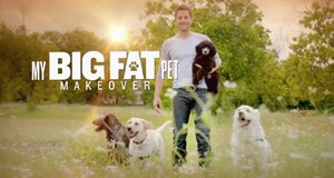 Vierbeiner auf Diät – Bild: Animal Planet/Screenshot