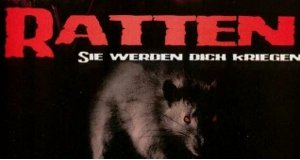 Ratten – Bild: ProSieben/mediacs