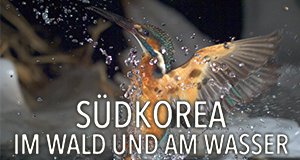 Südkorea – Im Wald und am Wasser