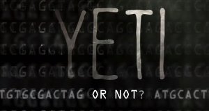 Der Yeti – Neues vom Schneemenschen – Bild: Animal Planet Der Yeti – Neues vom Schneemenschen – Bild: Animal Planet