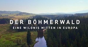 Der Böhmerwald – Eine Wildnis mitten in Europa
