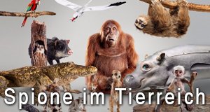 Spione im Tierreich – Bild: BBC Spione im Tierreich – Bild: BBC