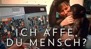 Ich Affe, Du Mensch? – Bild: Michael Nichols Ich Affe, Du Mensch? – Bild: Michael Nichols