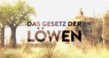 Das Gesetz der Löwen – Bild: arte