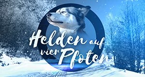 Helden auf vier Pfoten – Bild: MDR Helden auf vier Pfoten – Bild: MDR