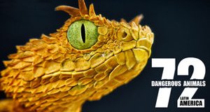 72 Dangerous Animals: Latin America – Bild: Netflix/Showrunner Productions 72 Dangerous Animals: Latin America – Bild: Netflix/Showrunner Productions