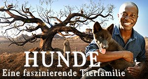 Hunde – Eine faszinierende Tierfamilie – Bild: Sky Hunde – Eine faszinierende Tierfamilie – Bild: Sky