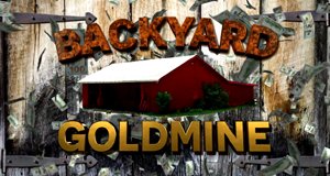 Bruchbude oder Goldgrube? – Bild: DIY Network