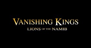 Die Löwen der Namib