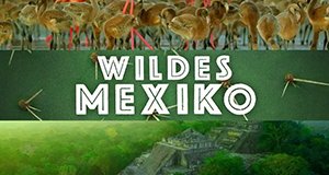 Wildes Mexiko