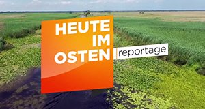 Heute im Osten – Reportage – Bild: MDR/Screenshot