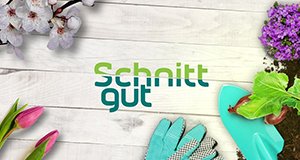 Schnittgut – Bild: BR