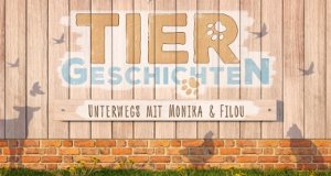 Tiergeschichten – Bild: SRF