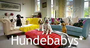 Hundebabys – Chaos auf vier Pfoten – Bild: BBC/Montage