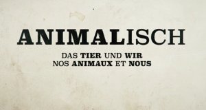 animalisch – Bild: arte/NDR