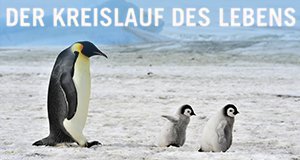 Der Kreislauf des Lebens – Bild: MG RTL D / 2017 KM Records a.s. - BIG Media Der Kreislauf des Lebens – Bild: MG RTL D / 2017 KM Records a.s. - BIG Media