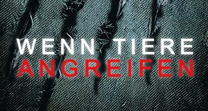 Wenn Tiere angreifen – Bild: Animal Planet