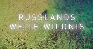 Russlands weite Wildnis – Bild: Nat Geo Wild/Screenshot Russlands weite Wildnis – Bild: Nat Geo Wild/Screenshot