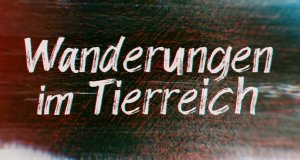 Wanderungen im Tierreich – Bild: FOX NETWORKS GROUP GERMANY Wanderungen im Tierreich – Bild: FOX NETWORKS GROUP GERMANY