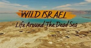 Wildes Israel – Bild: Smithsonian Channel Wildes Israel – Bild: Smithsonian Channel