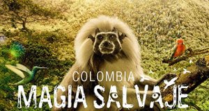 Kolumbien – Bild: Holey and Moley Kolumbien – Bild: Holey and Moley