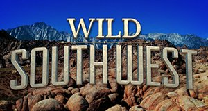 Wildes Amerika: Ungezähmter Südwesten – Bild: Nat Geo Wild Wildes Amerika: Ungezähmter Südwesten – Bild: Nat Geo Wild