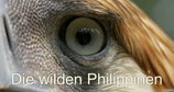 Die wilden Philippinen – Bild: 3sat