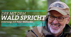 Der mit dem Wald spricht – Bild: SWR